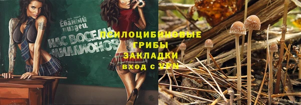 винт Краснослободск