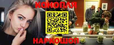 гашик Пыть-Ях