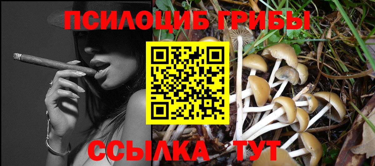 Галлюциногенные грибы Cubensis  Вход с VPN  Галлюциногенные грибы мухоморы  Сланцы 