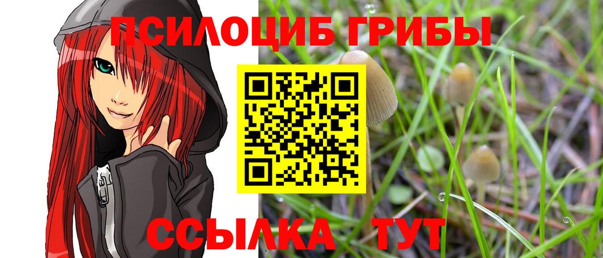 Псилоцибиновые грибы ЛСД Сланцы