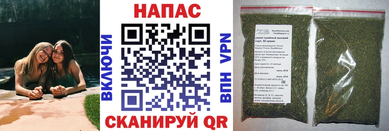 Шишки марихуана сатива наркотики Сланцы